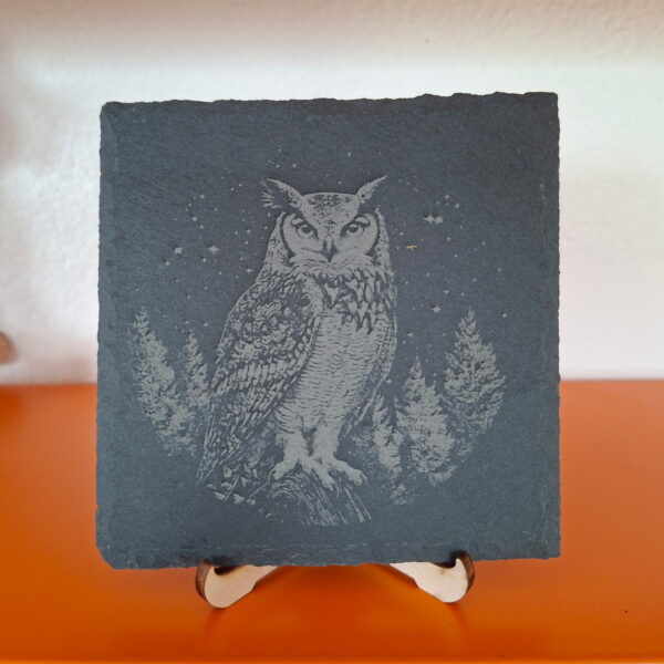 Gravure d'un Hibou Petite ardoise