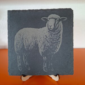 Gravure d'un mouton Petite Ardoise