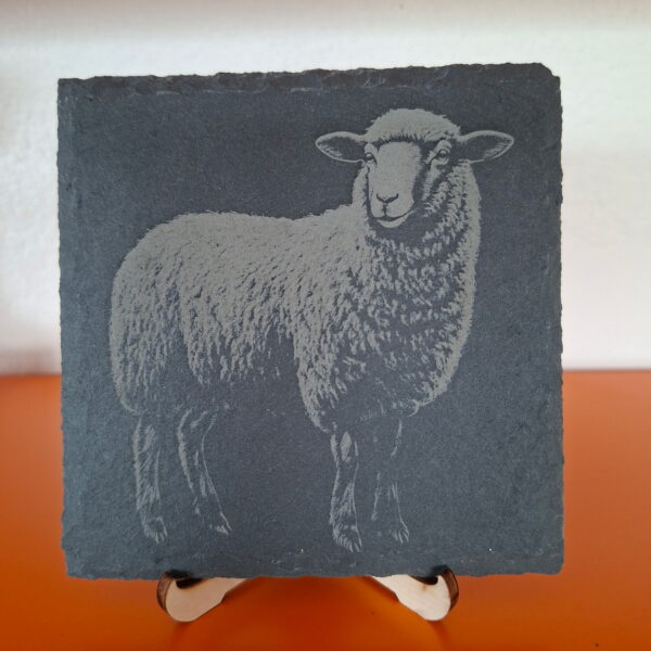 Gravure d'un mouton Petite Ardoise