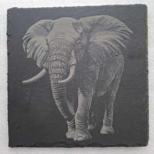 Gravure d'un éléphant Ardoise Carré