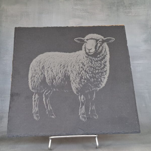 Gravure d'un mouton