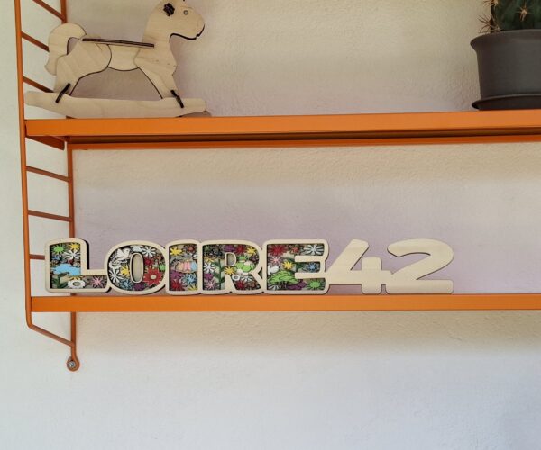 Loire 42 en bois multicouches 3D