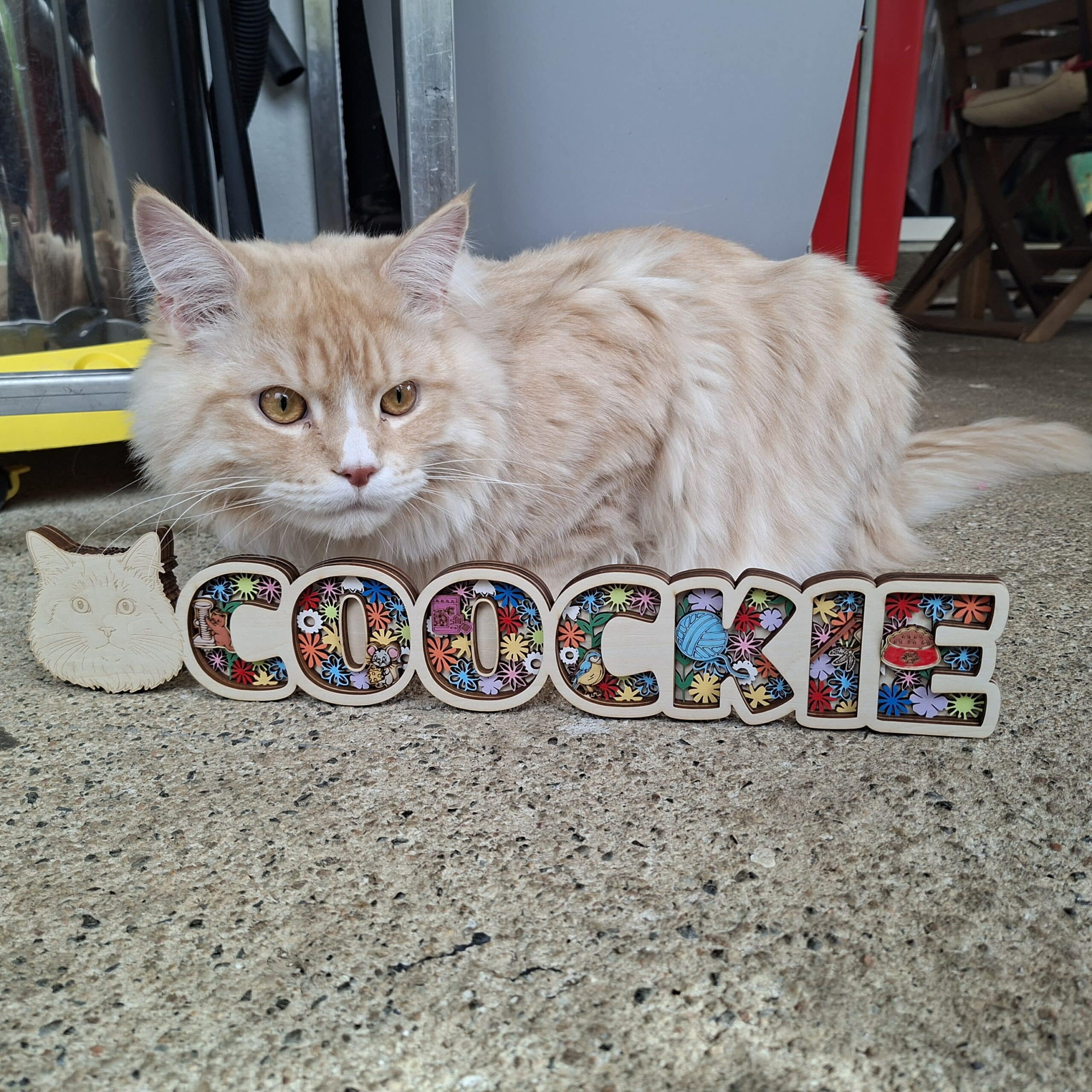 Prénom Coockie décoratif – Animaux de compagnie – Image 3