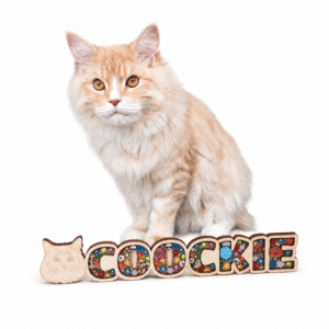 Prénom Coockie décoratif – Animaux de compagnie